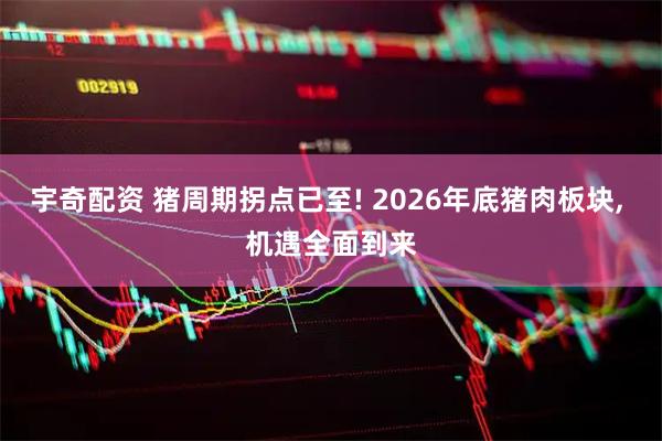宇奇配资 猪周期拐点已至! 2026年底猪肉板块, 机遇全面到来